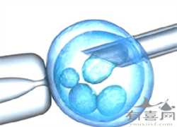 上海供卵能成功吗，上海第三代试管婴儿成功率怎样才能高？