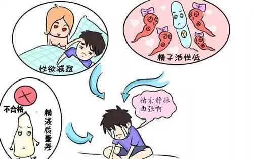 32岁上海做试管供卵成功率多少，详细介绍上海仁济北院做试管成功率多少！