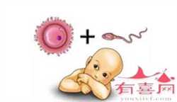 上海助孕试管电话,上海长征医院试管婴儿医生名单，2022助孕成功率高的大夫参