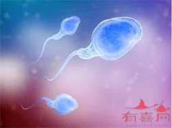 上海找捐卵代怀联系方式,上海试管捐卵管理规范，有助于促进试管婴儿成功率