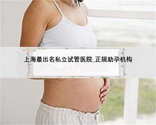 上海最出名私立试管医院_正规助孕机构